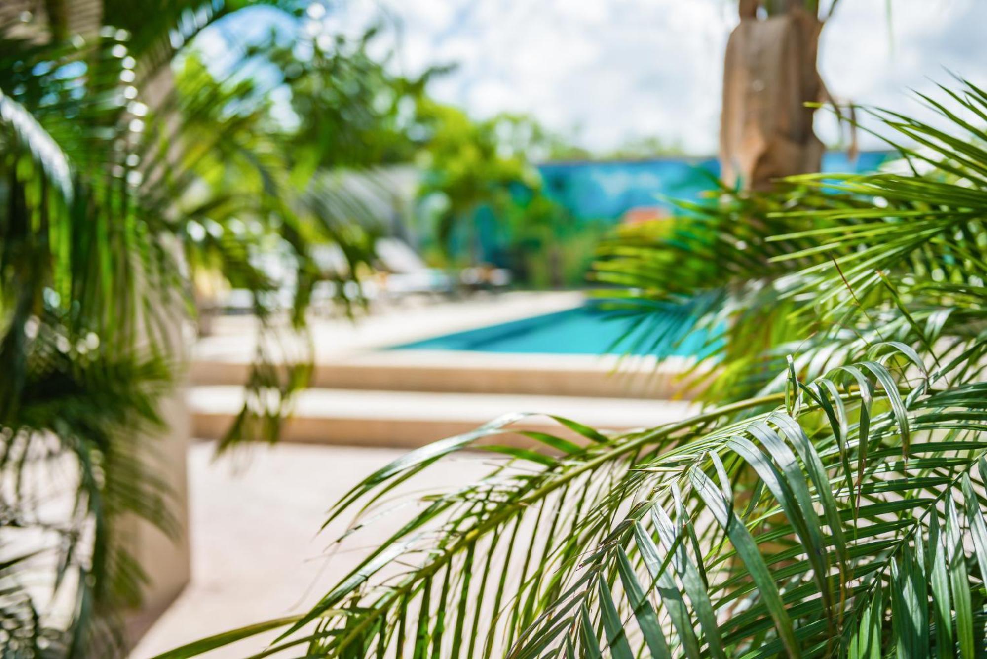Casita Palma Boutique Resort クラレンダイク エクステリア 写真